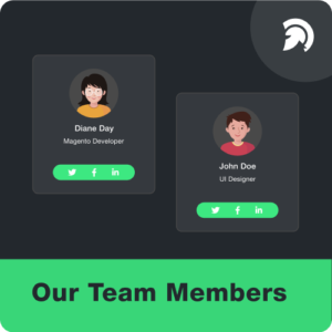 Display Team members